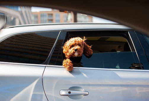 Auto-Smart-Key-Duplication--in-West-Middletown-Pennsylvania-auto-smart-key-duplication-west-middletown-pennsylvania.jpg-image